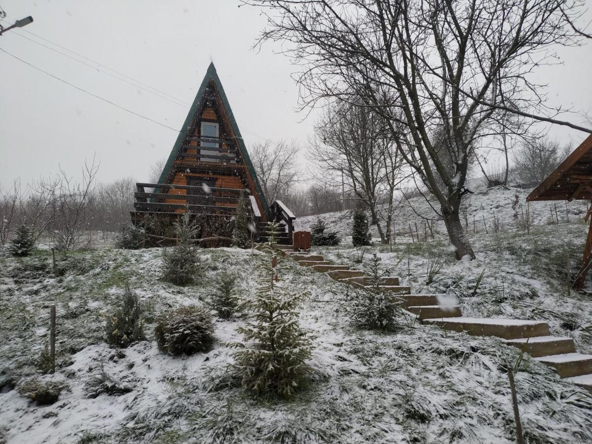 Zelenaya Usad'Ba Stavbor Zavadivka ภายนอก รูปภาพ